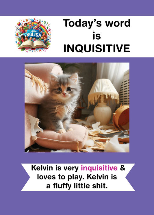 Cat Lover's Greeting Card with cute kitten and "Today's Word is Inquisitive" message.